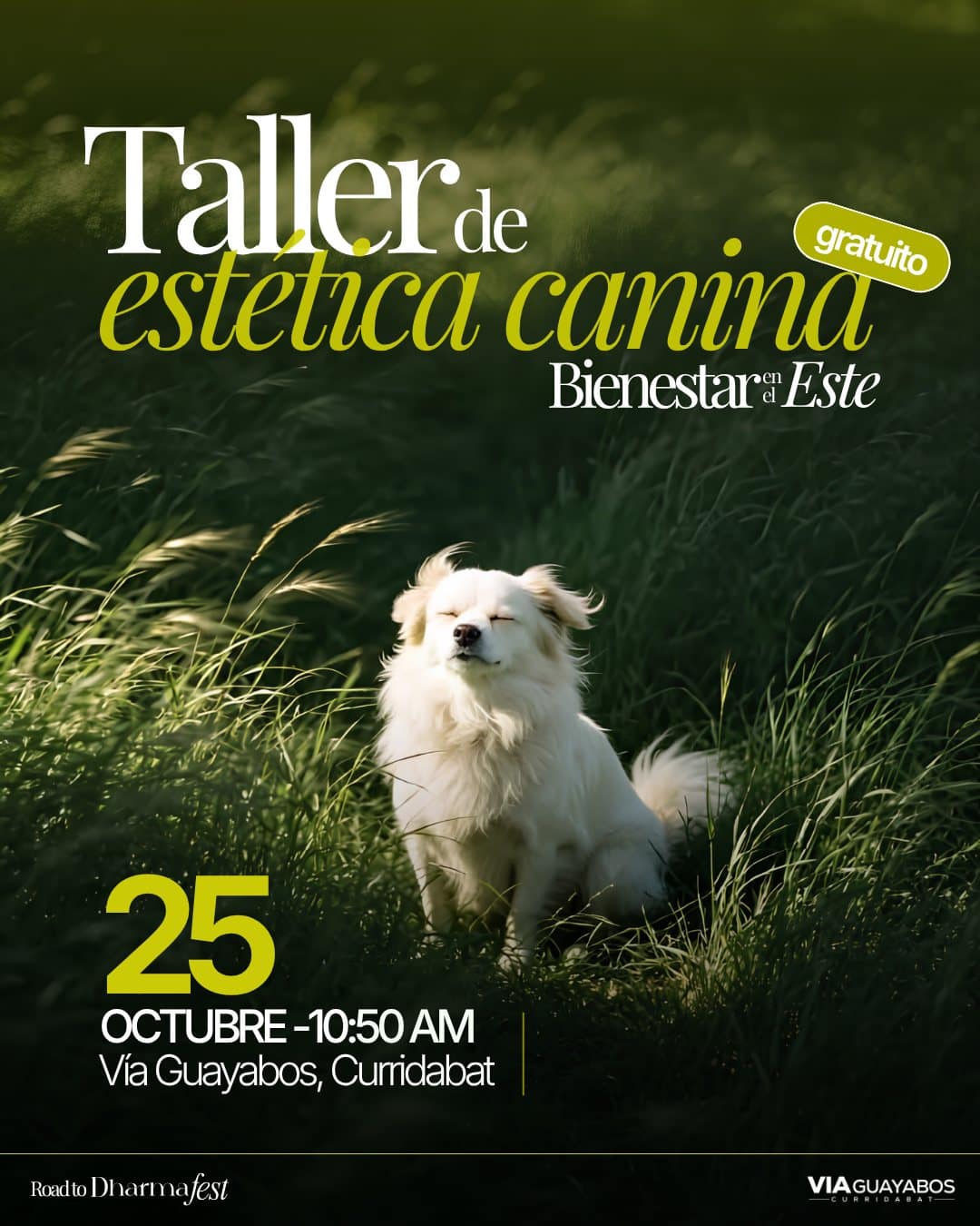 Afiche del Taller de estética canina — Bienestar en el Este en Vía Guayabos