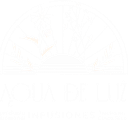 Agua de Luz