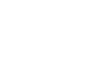 Ameer Holistic